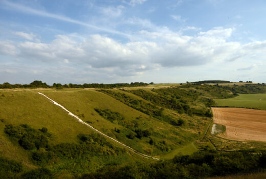 View of Dunstable Downs and Whipsnade Estate, Bedfordshire.