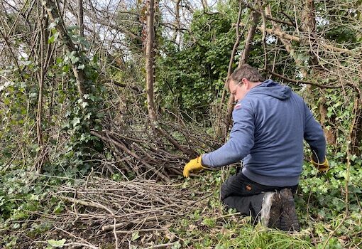 HillRise Dead Hedging
